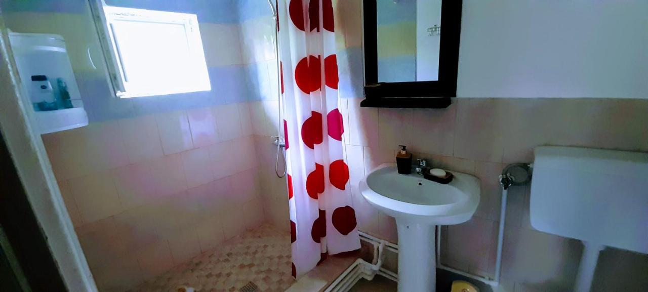 Pensiunea Casa Andreea Novaci-Straini Bagian luar foto