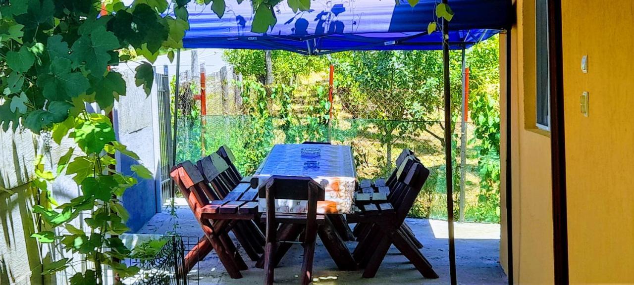 Pensiunea Casa Andreea Novaci-Straini Bagian luar foto