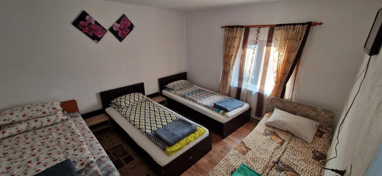 Pensiunea Casa Andreea Novaci-Straini Bagian luar foto