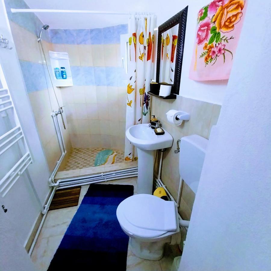 Pensiunea Casa Andreea Novaci-Straini Bagian luar foto