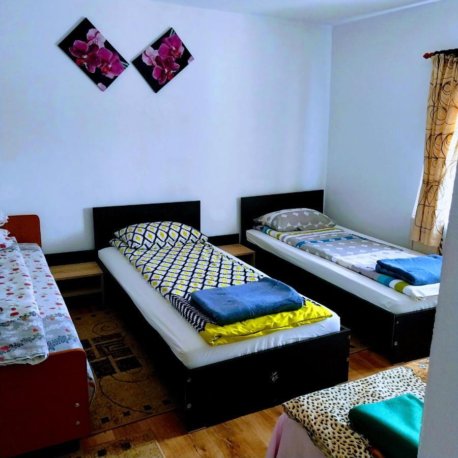 Pensiunea Casa Andreea Novaci-Straini Bagian luar foto